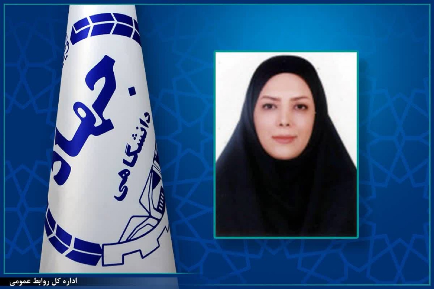 دکتر نیلوفر عابدین زاده به عنوان سرپرست پژوهشکده محیط زیست جهاددانشگاهی منصوب شد